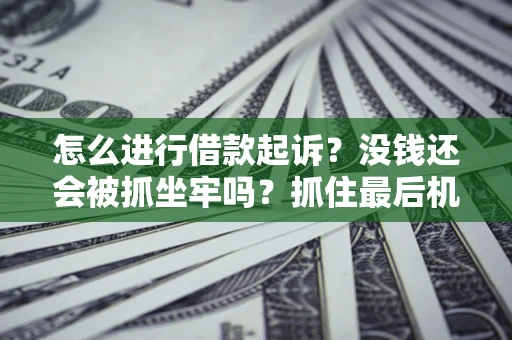 北京怎么进行借款起诉？没钱还会被抓坐牢吗？抓住最后机会！