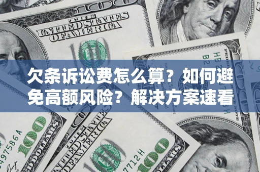 北京欠条诉讼费怎么算？如何避免高额风险？解决方案速看！