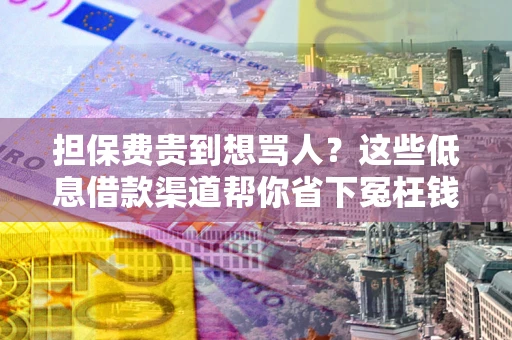 北京担保费贵到想骂人？这些低息借款渠道帮你省下冤枉钱