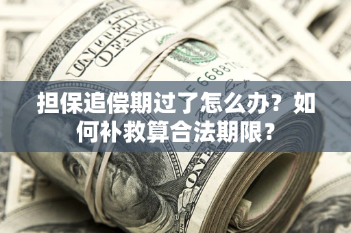 北京担保追偿期过了怎么办？如何补救算合法期限？