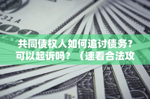 北京共同债权人如何追讨债务？可以起诉吗？（速看合法攻略）